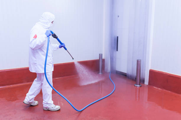 Best Driveway Cleaning and Restoration in Dixon, MO